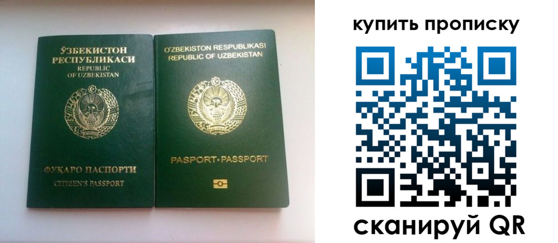 временная прописка в Борзе
